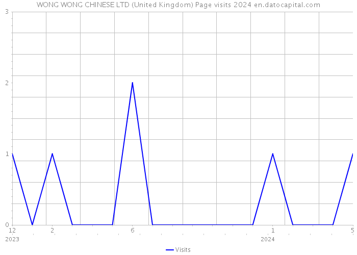 WONG WONG CHINESE LTD (United Kingdom) Page visits 2024 