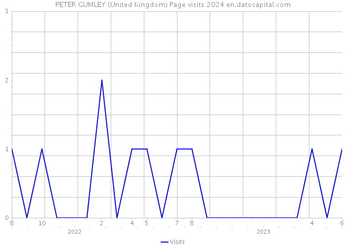PETER GUMLEY (United Kingdom) Page visits 2024 