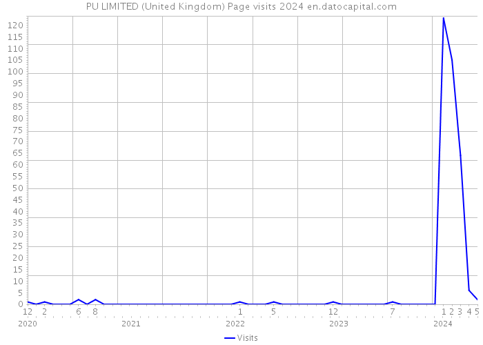 PU LIMITED (United Kingdom) Page visits 2024 