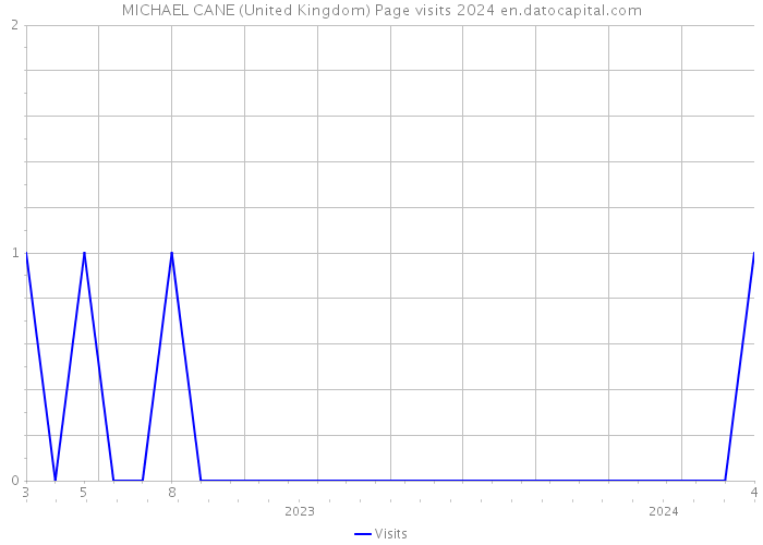 MICHAEL CANE (United Kingdom) Page visits 2024 