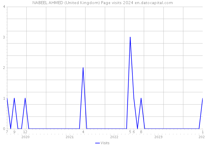 NABEEL AHMED (United Kingdom) Page visits 2024 