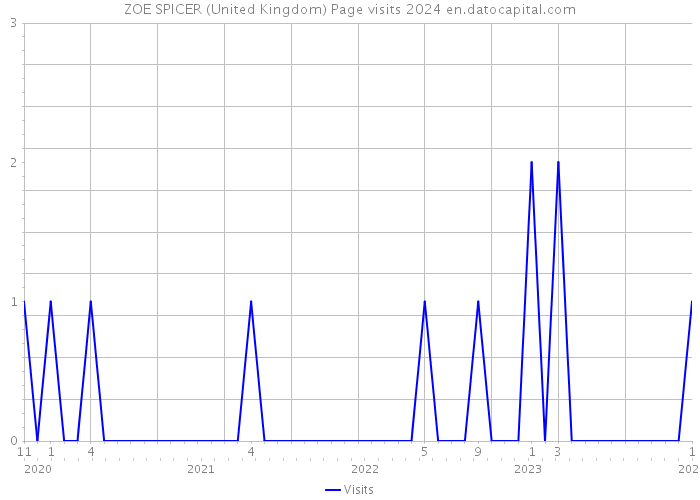 ZOE SPICER (United Kingdom) Page visits 2024 