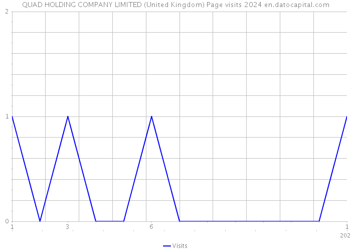 QUAD HOLDING COMPANY LIMITED (United Kingdom) Page visits 2024 