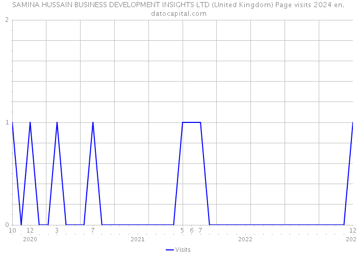 SAMINA HUSSAIN BUSINESS DEVELOPMENT INSIGHTS LTD (United Kingdom) Page visits 2024 