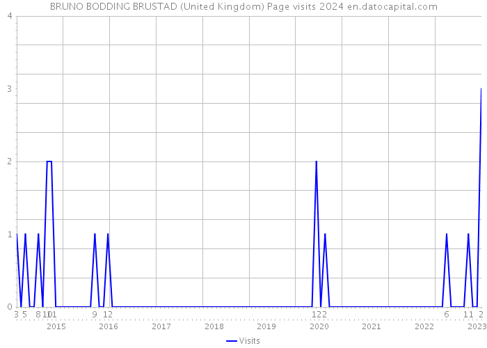 BRUNO BODDING BRUSTAD (United Kingdom) Page visits 2024 