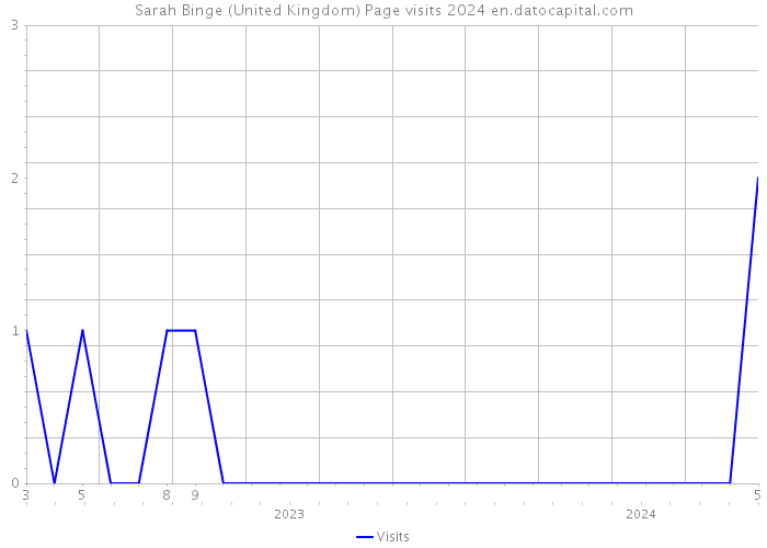 Sarah Binge (United Kingdom) Page visits 2024 