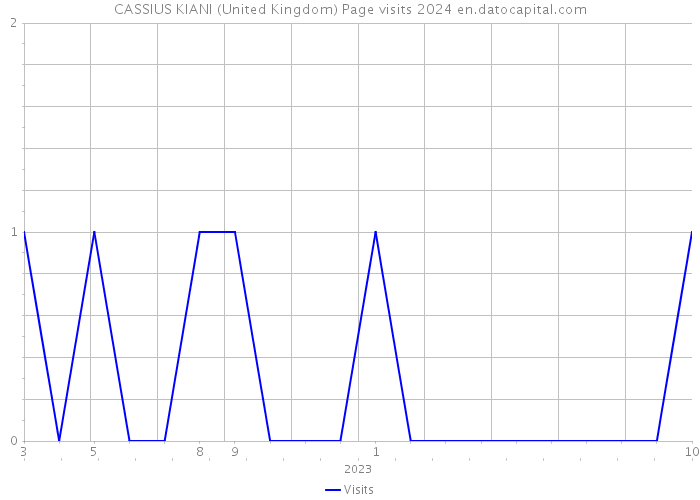 CASSIUS KIANI (United Kingdom) Page visits 2024 