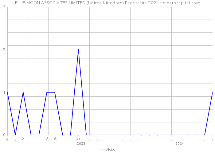 BLUE MOON ASSOCIATES LIMITED (United Kingdom) Page visits 2024 