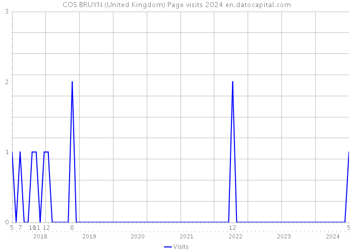 COS BRUYN (United Kingdom) Page visits 2024 