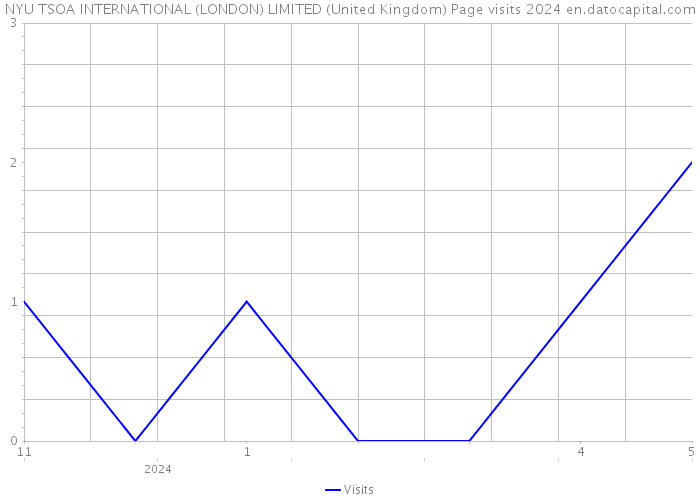 NYU TSOA INTERNATIONAL (LONDON) LIMITED (United Kingdom) Page visits 2024 