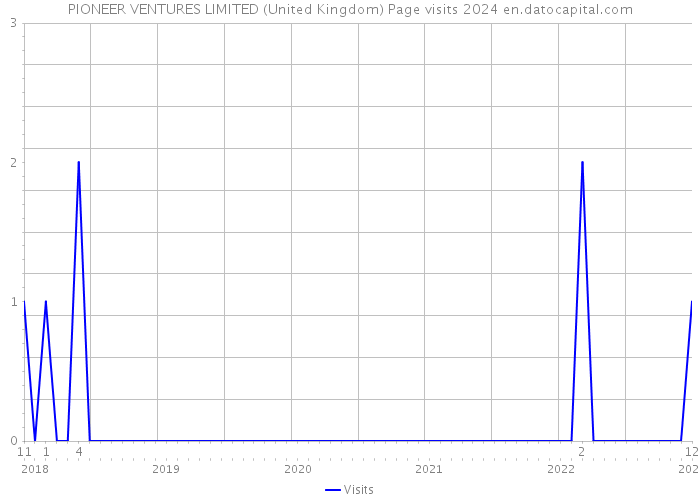 PIONEER VENTURES LIMITED (United Kingdom) Page visits 2024 