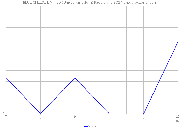 BLUE CHEESE LIMITED (United Kingdom) Page visits 2024 