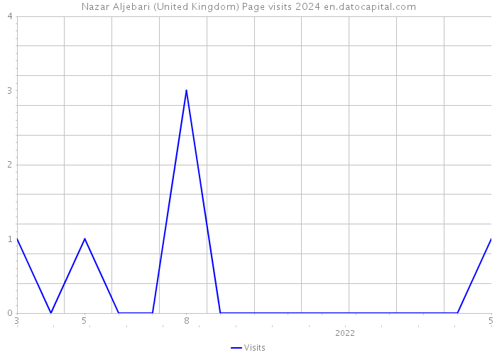 Nazar Aljebari (United Kingdom) Page visits 2024 
