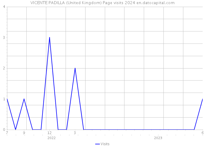 VICENTE PADILLA (United Kingdom) Page visits 2024 