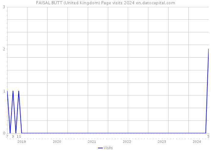 FAISAL BUTT (United Kingdom) Page visits 2024 