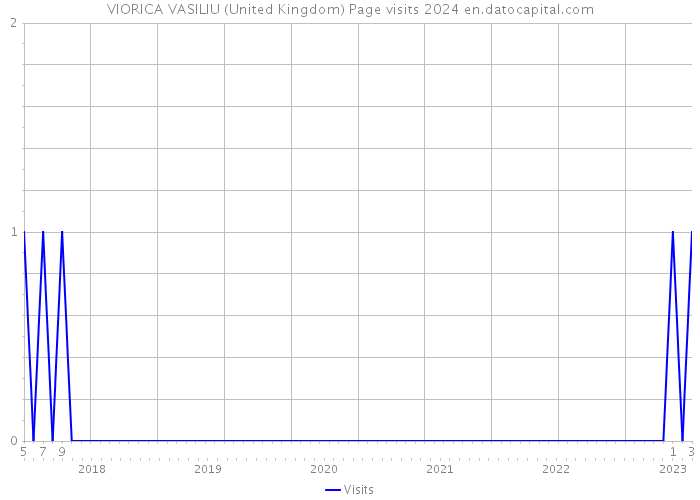 VIORICA VASILIU (United Kingdom) Page visits 2024 