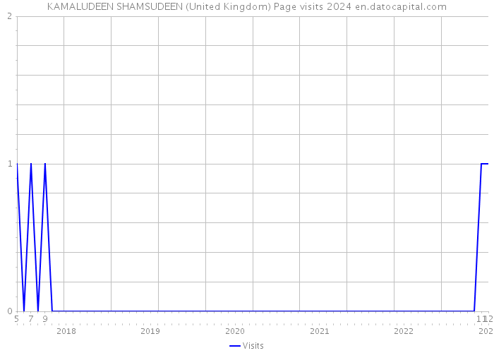 KAMALUDEEN SHAMSUDEEN (United Kingdom) Page visits 2024 