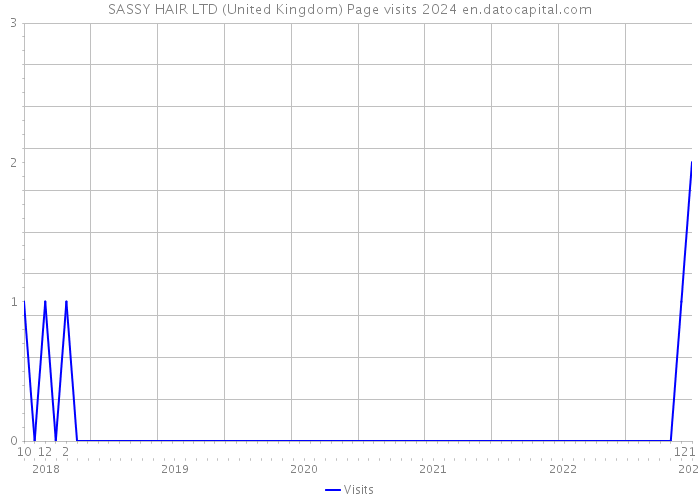 SASSY HAIR LTD (United Kingdom) Page visits 2024 