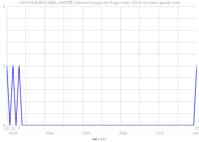 CANYNGE BICKNELL LIMITED (United Kingdom) Page visits 2024 