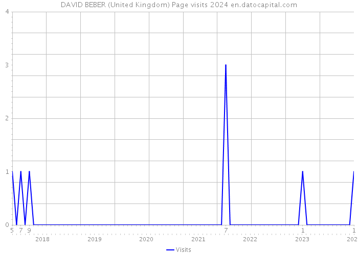 DAVID BEBER (United Kingdom) Page visits 2024 