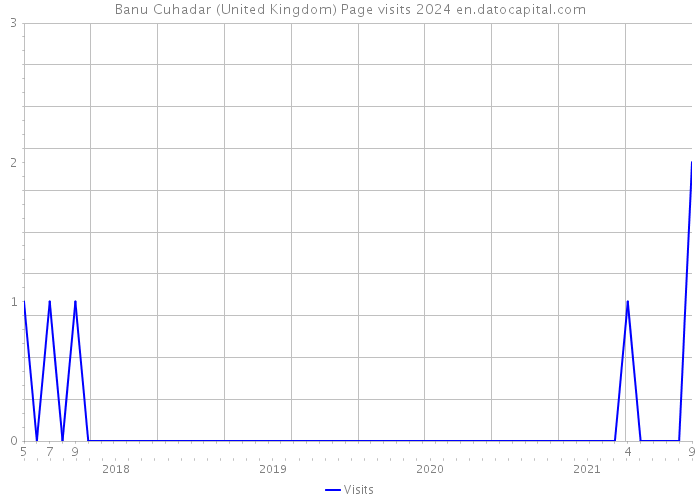 Banu Cuhadar (United Kingdom) Page visits 2024 
