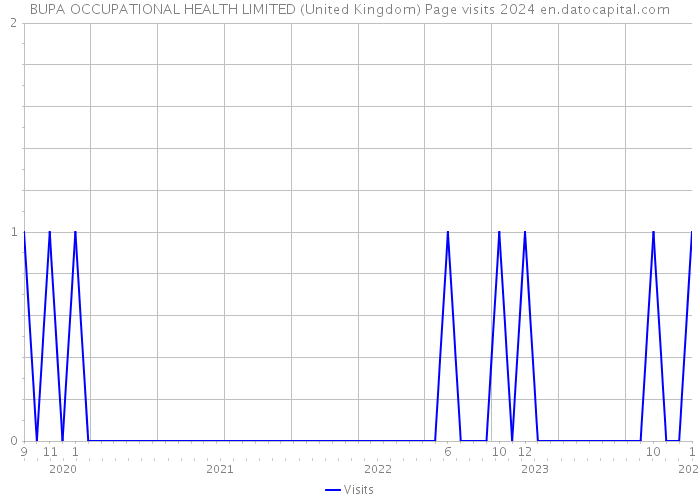 BUPA OCCUPATIONAL HEALTH LIMITED (United Kingdom) Page visits 2024 