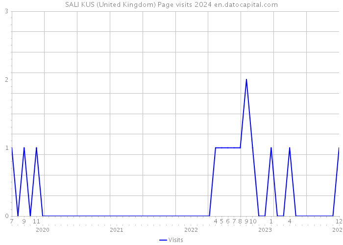 SALI KUS (United Kingdom) Page visits 2024 