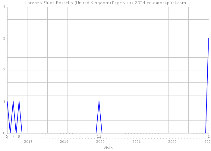 Lorenzo Fluxa Rossello (United Kingdom) Page visits 2024 