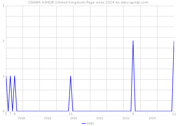 OSAMA ASHOR (United Kingdom) Page visits 2024 