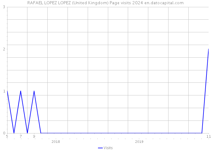 RAFAEL LOPEZ LOPEZ (United Kingdom) Page visits 2024 