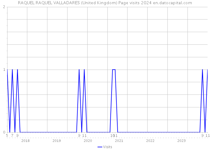 RAQUEL RAQUEL VALLADARES (United Kingdom) Page visits 2024 