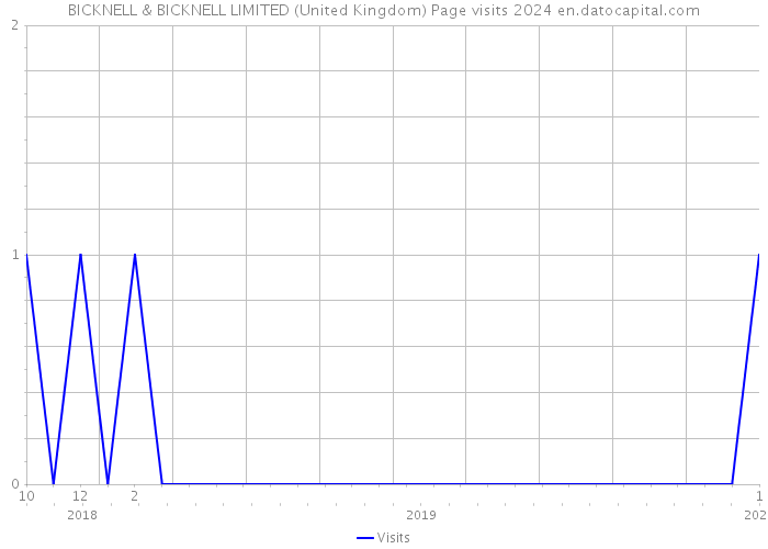 BICKNELL & BICKNELL LIMITED (United Kingdom) Page visits 2024 