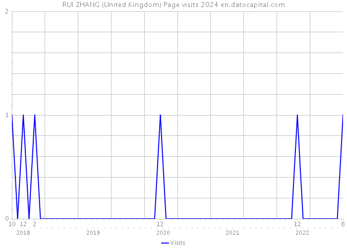 RUI ZHANG (United Kingdom) Page visits 2024 