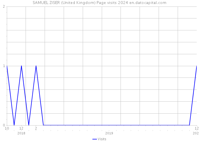 SAMUEL ZISER (United Kingdom) Page visits 2024 