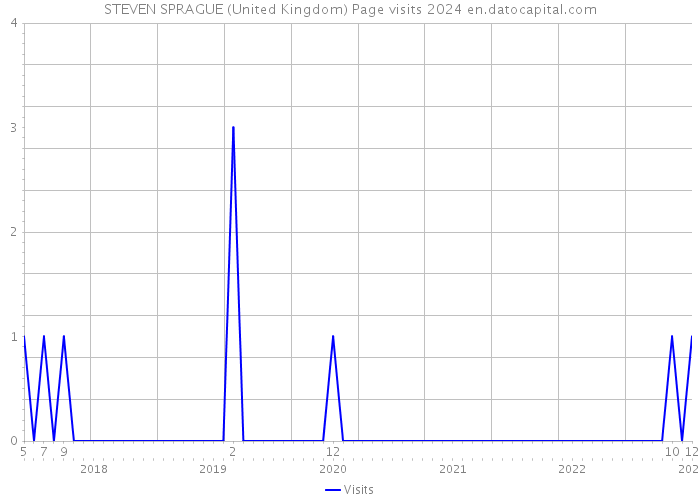 STEVEN SPRAGUE (United Kingdom) Page visits 2024 