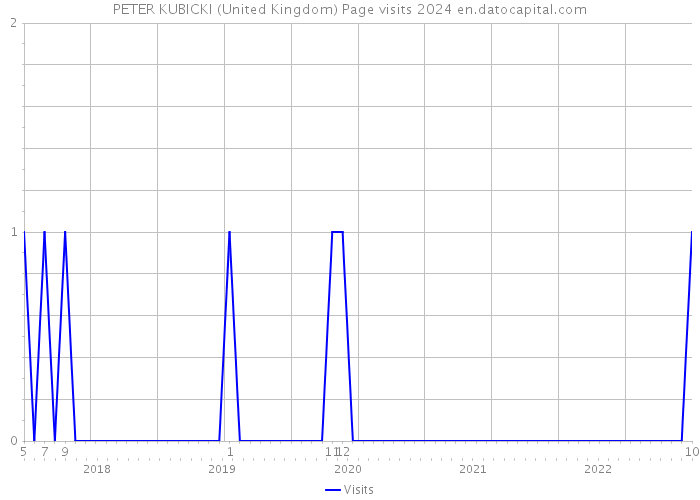 PETER KUBICKI (United Kingdom) Page visits 2024 