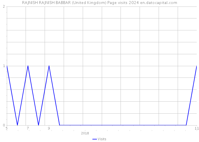 RAJNISH RAJNISH BABBAR (United Kingdom) Page visits 2024 