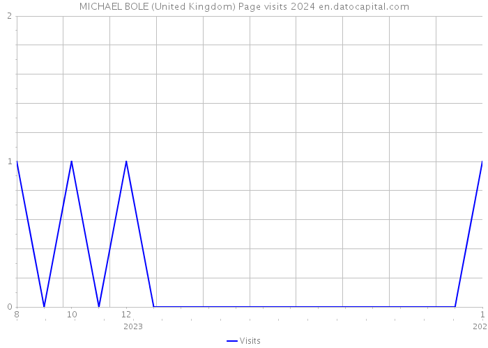 MICHAEL BOLE (United Kingdom) Page visits 2024 