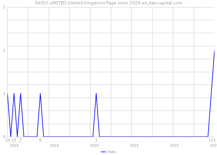 SASSY LIMITED (United Kingdom) Page visits 2024 