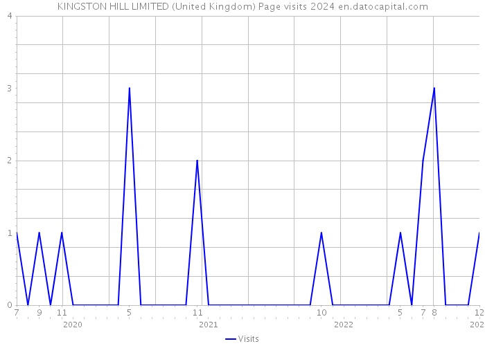 KINGSTON HILL LIMITED (United Kingdom) Page visits 2024 