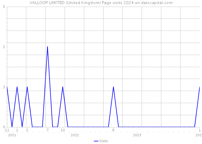 VALLOOP LIMITED (United Kingdom) Page visits 2024 
