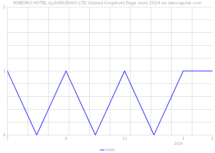 RISBORO HOTEL (LLANDUDNO) LTD (United Kingdom) Page visits 2024 