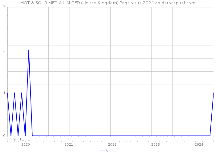 HOT & SOUR MEDIA LIMITED (United Kingdom) Page visits 2024 