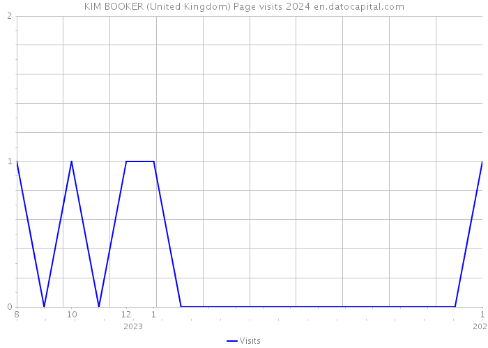 KIM BOOKER (United Kingdom) Page visits 2024 