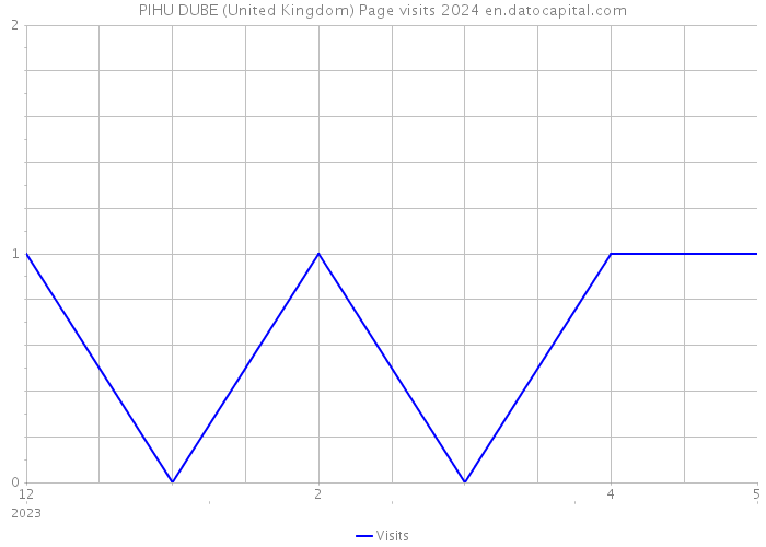 PIHU DUBE (United Kingdom) Page visits 2024 