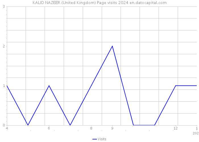 KALID NAZEER (United Kingdom) Page visits 2024 