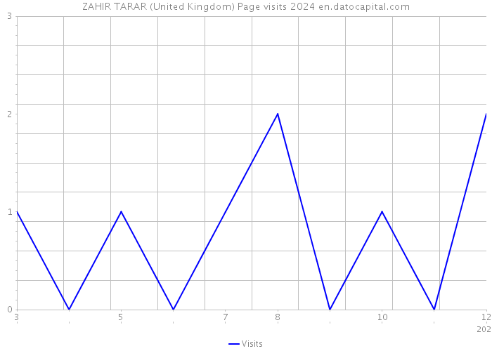 ZAHIR TARAR (United Kingdom) Page visits 2024 