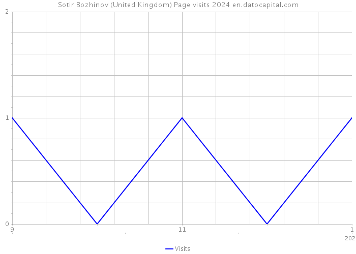 Sotir Bozhinov (United Kingdom) Page visits 2024 