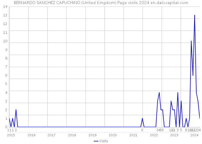 BERNARDO SANCHEZ CAPUCHINO (United Kingdom) Page visits 2024 