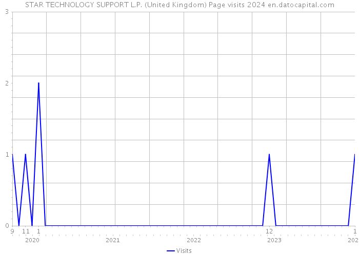 STAR TECHNOLOGY SUPPORT L.P. (United Kingdom) Page visits 2024 